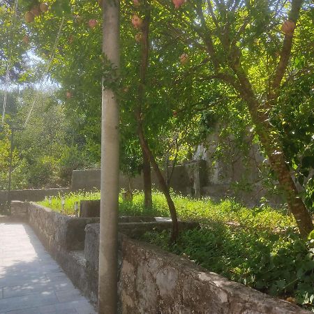 Apartman Arbanas Dubrovnik Exterior foto